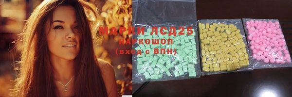 молекула духа Арсеньев