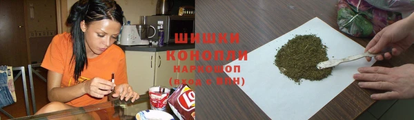молекула духа Арсеньев