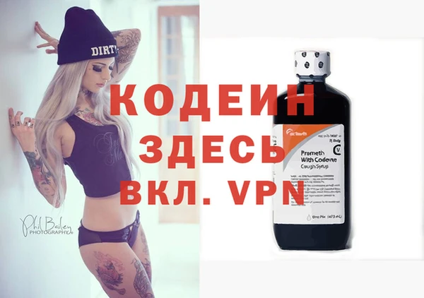 молекула духа Арсеньев