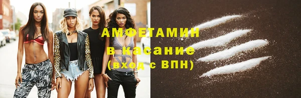 молекула духа Арсеньев