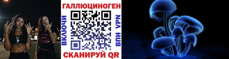 как найти наркотики  Белоозёрский  Псилоцибиновые грибы Cubensis 